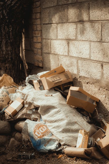 A pile of discarded cardboard boxes, some flattened and others partially assembled, are situated on a rough, uneven ground next to a brick wall and partially beneath a large tree trunk. The boxes vary